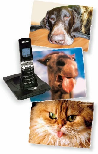 111animalemf.jpg