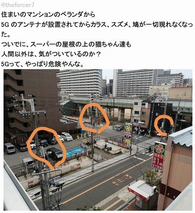 5G関西.jpg