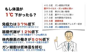 体温１℃の影響.png