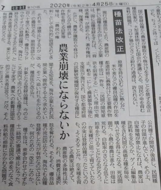 東京新聞コラム 種苗法