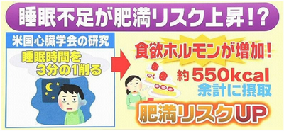 肥満リスク.png