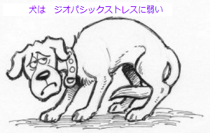 Miserable-Dog_DRAWING.png