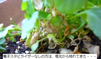 P1080466.JPG