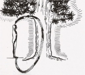 Tree-Healing-1.png