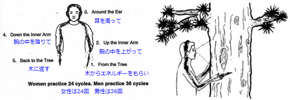 Tree-Hugging.png