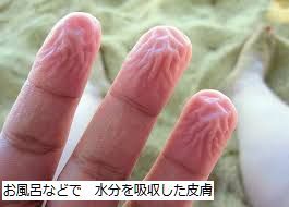 absorbed skin.jpg