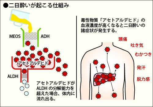 alcoholysis_02.jpg