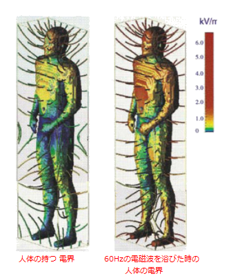 bodys-electric-field-emf.png