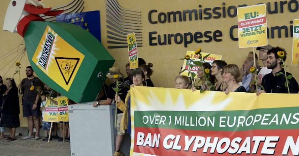 glyphosate-crop.jpg
