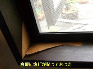 image3.jpg