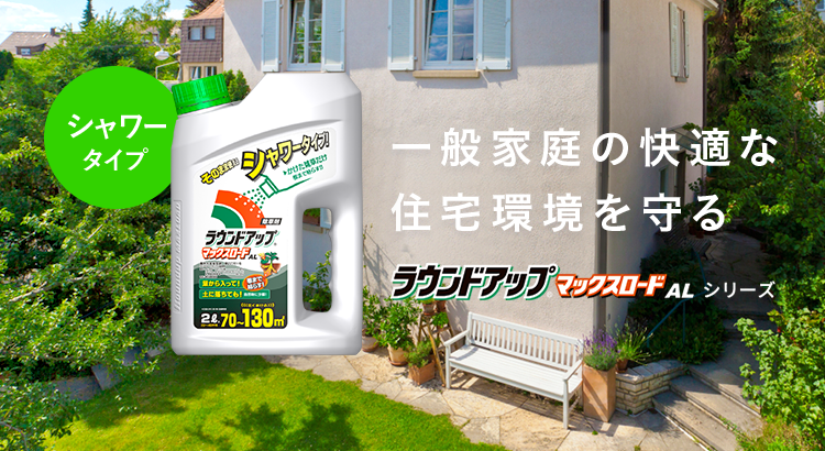 img-main_slider_al.png