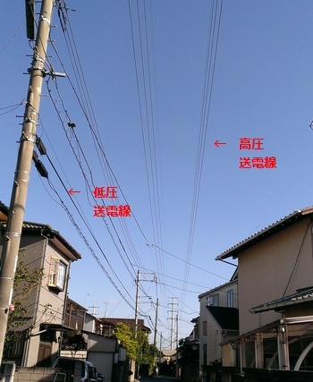 高圧送電線の下で