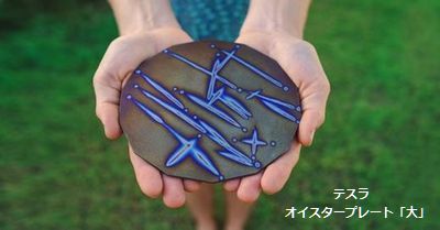 Wi-Fi環境 5Gなど携帯基地局の電波に
テスラ オイスタプレート「大」