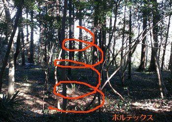 エネルギーが渦を巻いている