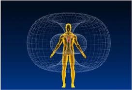 toroidal-humano.jpg